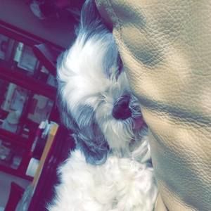 Meet your Posher, Joan